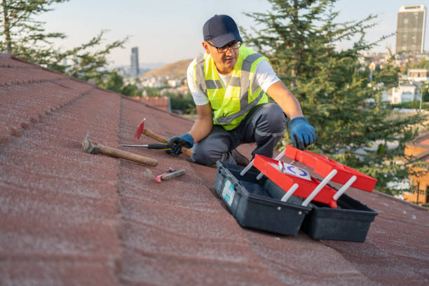 Best Wood Siding Installation  in Old Fig Garden, CA